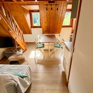 https://appartement-chalet-a-1400m-station-du-mourtis.midi-pyreneeshotels.com